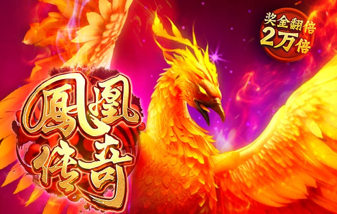 体育app管网
